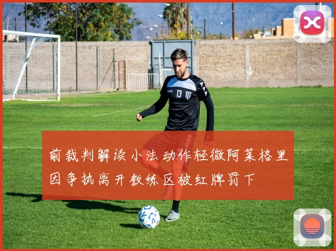 前裁判解读小法动作轻微阿莱格里因争执离开教练区被红牌罚下