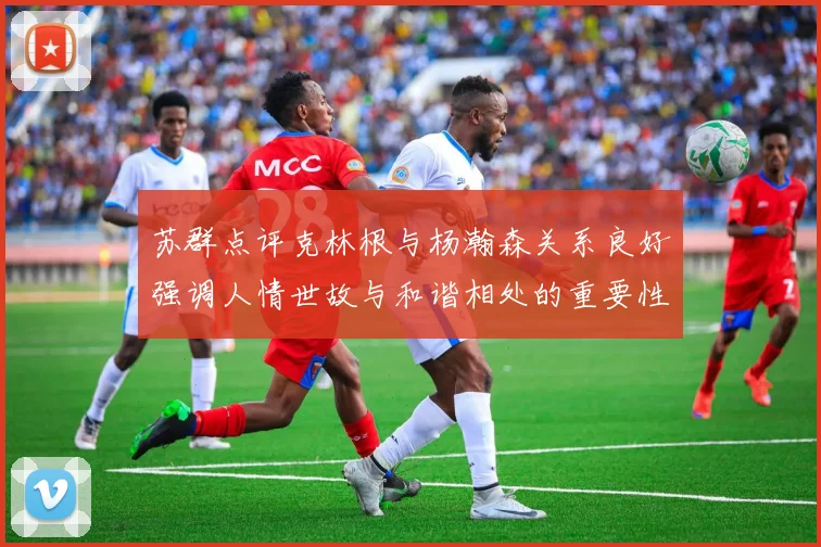 苏群点评克林根与杨瀚森关系良好强调人情世故与和谐相处的重要性